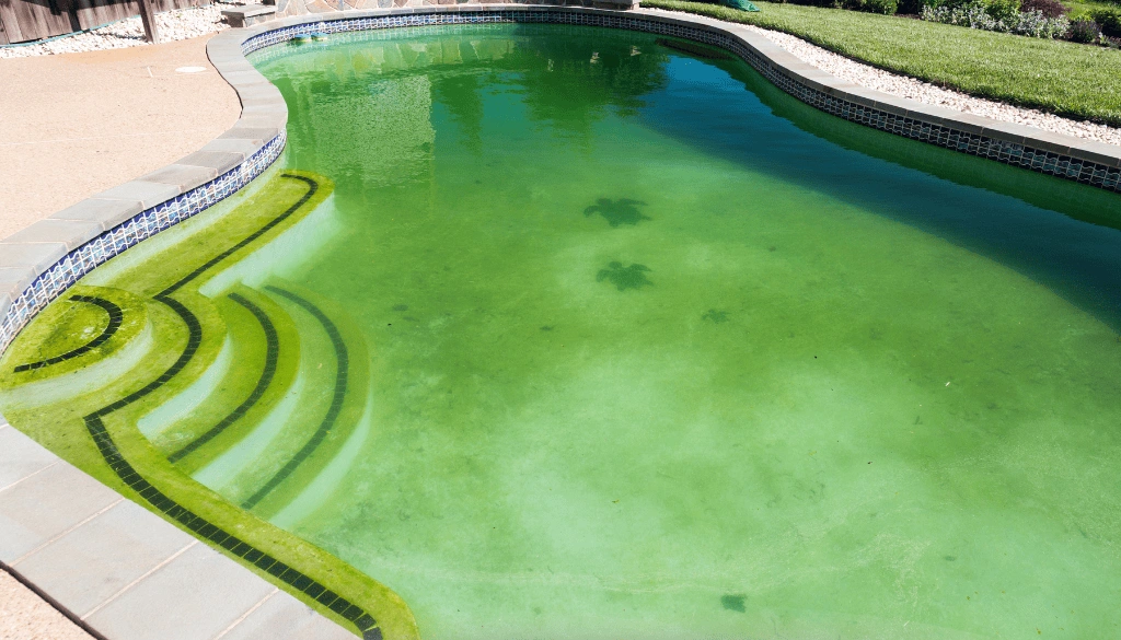 Cloudy Pool Water After Equipment Failure: What To Fix First