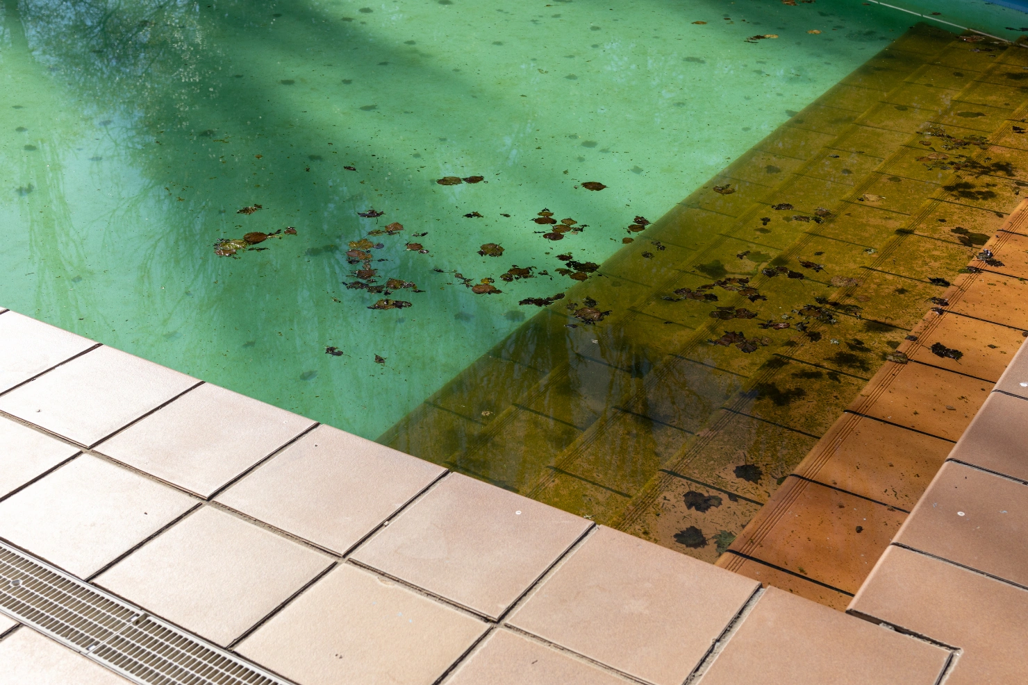 Floating Debris Pool Cleaning Floating Debris Pool Cleaning