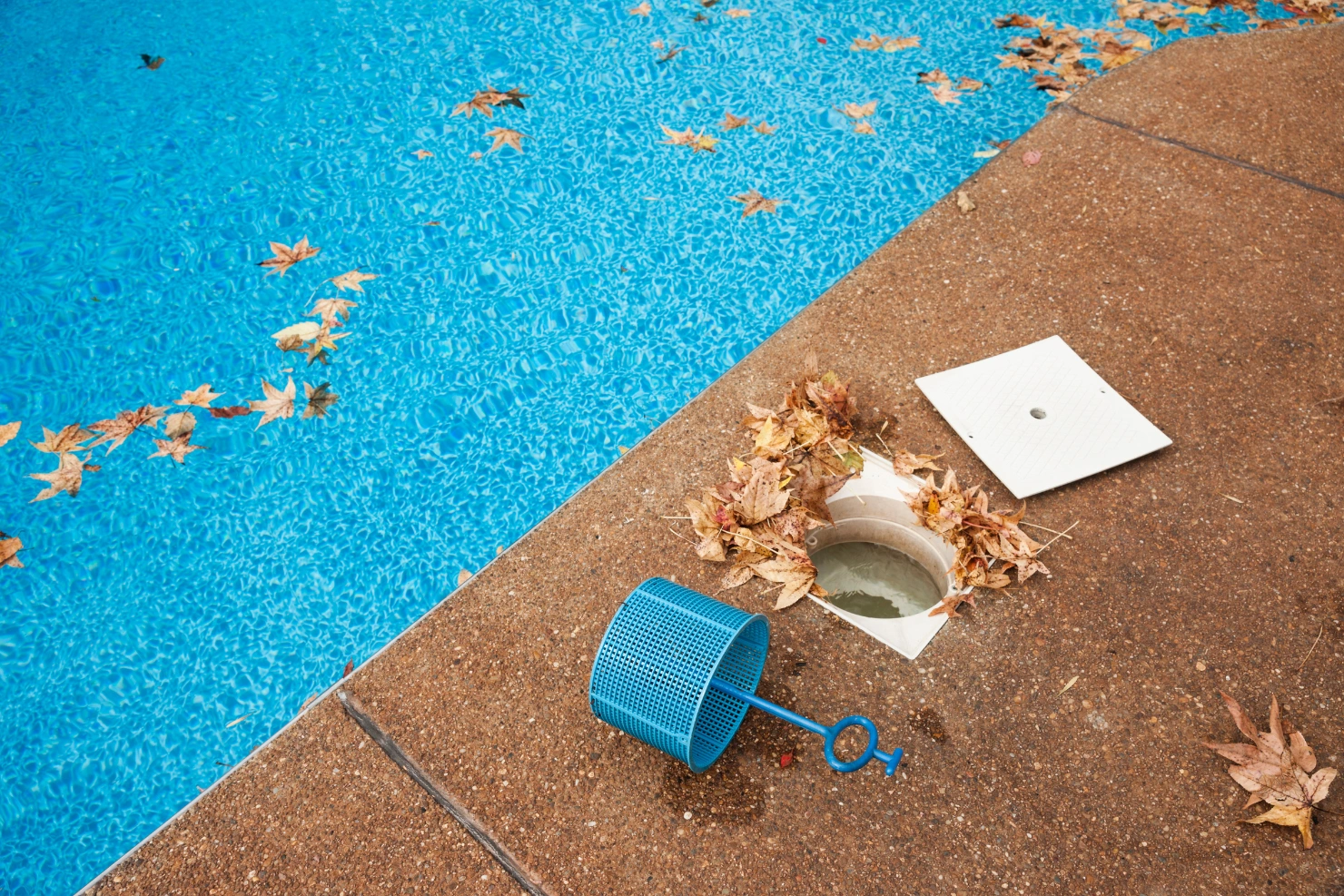 Floating Debris Pool Cleaning Floating Debris Pool Cleaning
