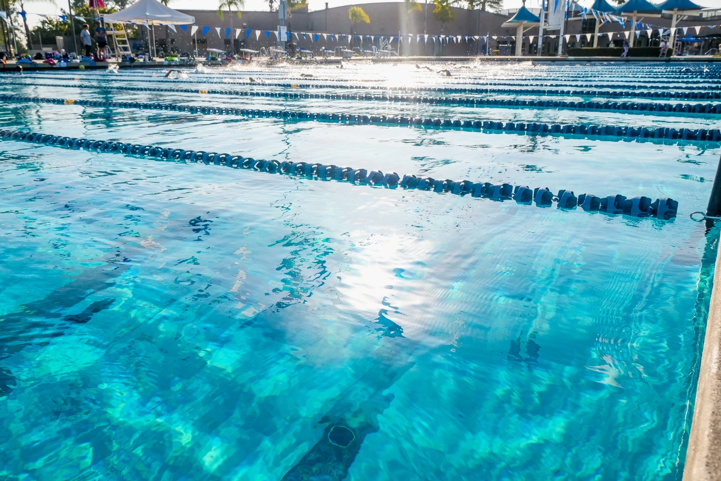 Cleaner Pool Water Starts With The Right Salt Chlorinator System Cleaner Pool Water Starts With The Right Salt Chlorinator System