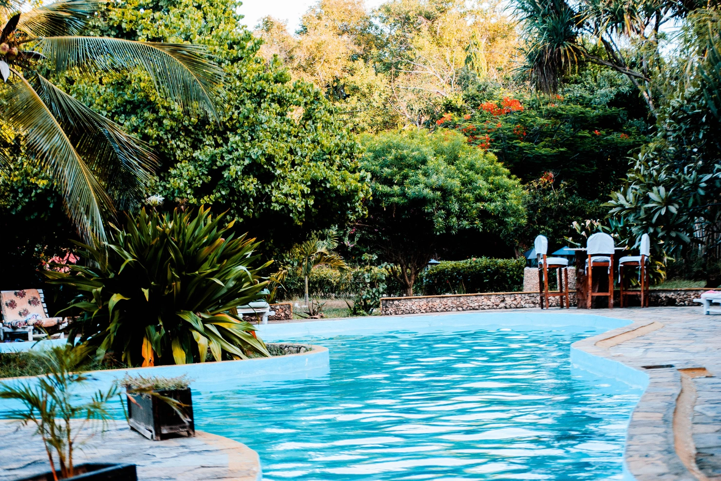 Cleaner Pool Water Starts With The Right Salt Chlorinator System Cleaner Pool Water Starts With The Right Salt Chlorinator System