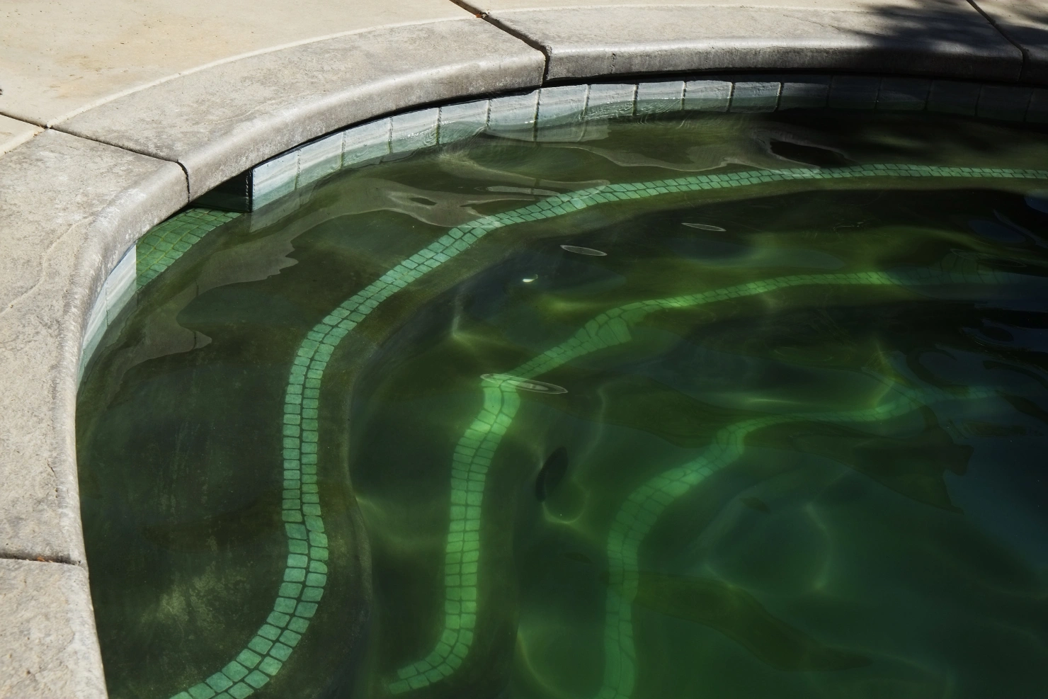 How To Prevent Pool Algae After Heavy Summer Use How To Prevent Pool Algae After Heavy Summer Use