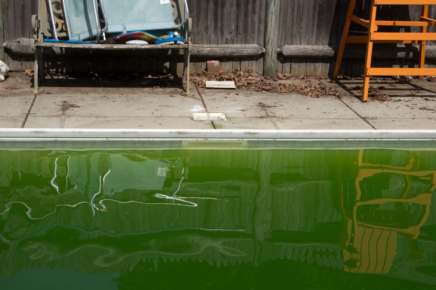 How To Prevent Pool Algae After Heavy Summer Use How To Prevent Pool Algae After Heavy Summer Use