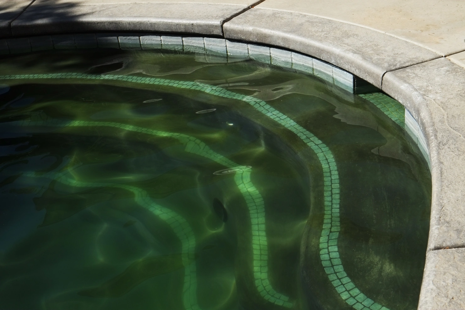 Black Algae Spots in Your Pool Require More Than Brushing