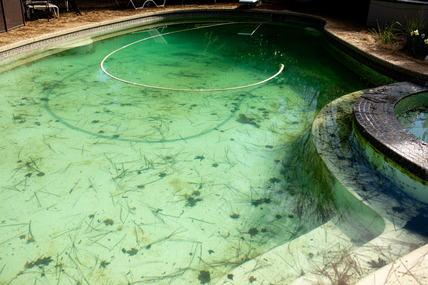 Black Algae Spots in Your Pool Require More Than Brushing
