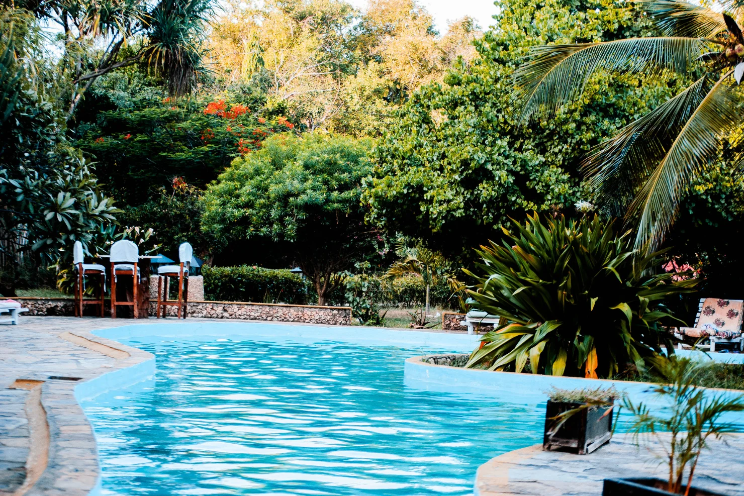 Pool Pump