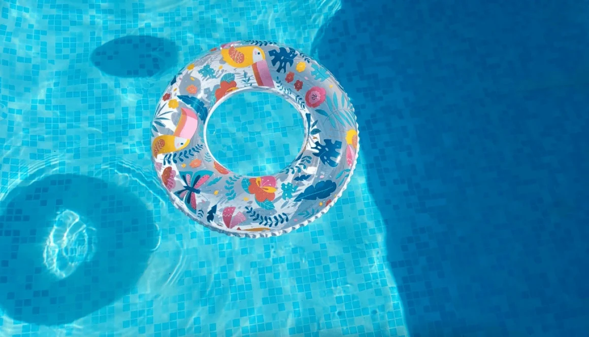 Salt Water Chlorinators for Small vs Large Pools: Key Differences