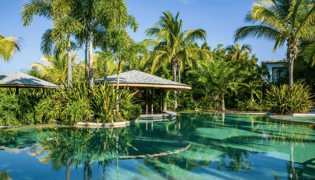 Cloudy Pool Water After Equipment Failure: What To Fix First