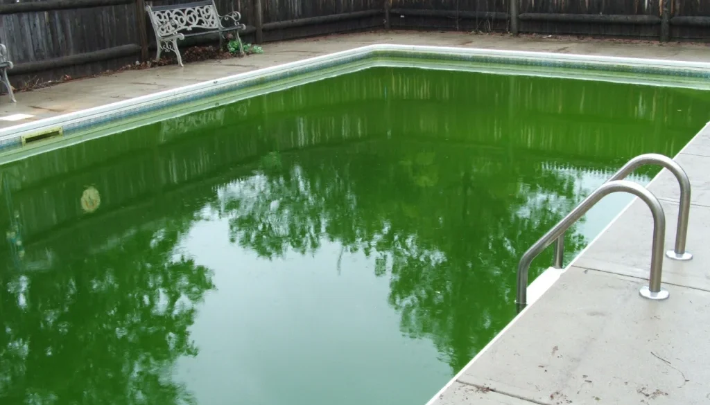 How To Prevent Pool Algae After Heavy Summer Use
