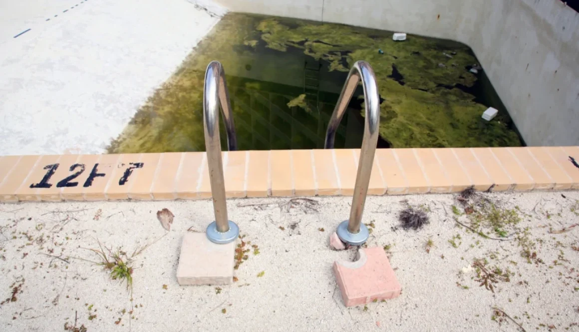 Black Algae Spots in Your Pool Require More Than Brushing